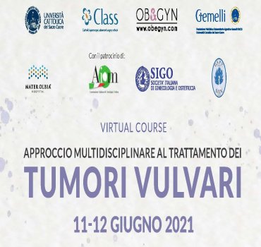 Approccio Multidisciplinare Al Trattamento Dei Tumori Vulvari