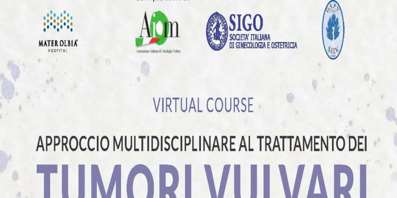 Approccio Multidisciplinare Al Trattamento Dei Tumori Vulvari