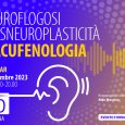 Neuroflogosi e disneuroplasticità in acufenologia