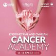 Endometrial and ovarian cancer Academy
