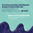 Il Prurito associato alla Malattia Renale Cronica (CKD-aP): un nuovo approccio dalla diagnosi alla cura. RE-KaP!